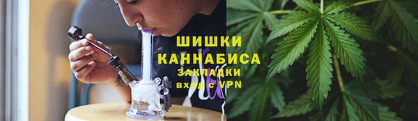 меф Богородицк