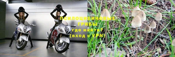 меф Богородицк