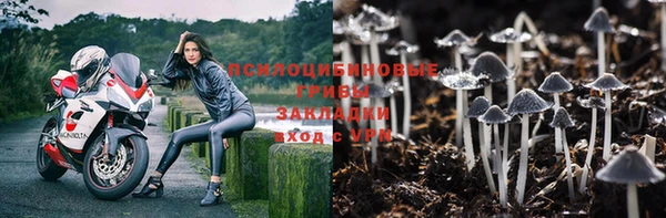 кокс Богородск